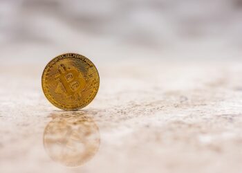 Navigating the Crypto Rollercoaster: Bitcoin & ETFs Insights